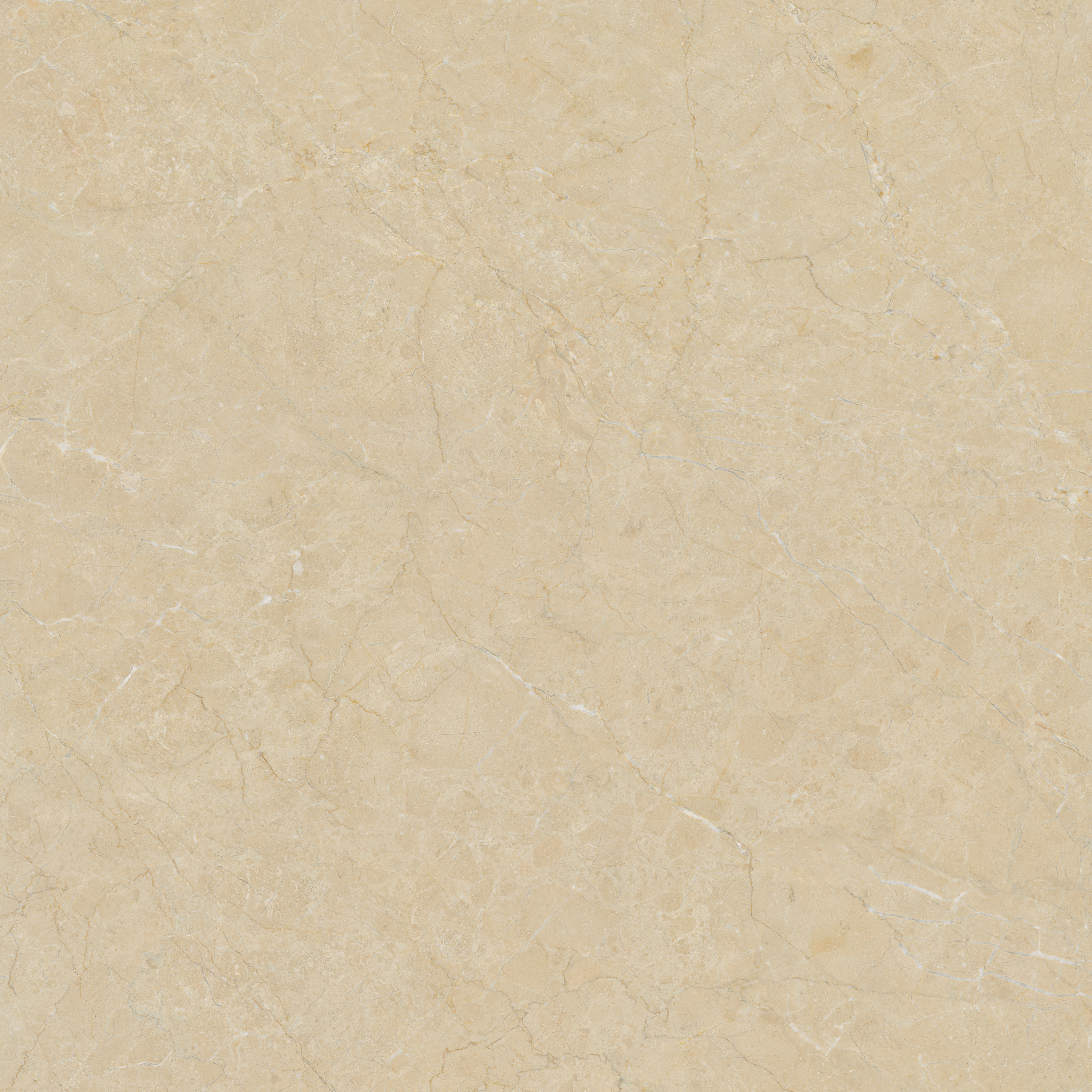 Gạch ốp lát Libon Formal Marfil, Glossy, 120x120 cao cấp